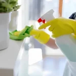 ShopOye Cleaning Essentials Category